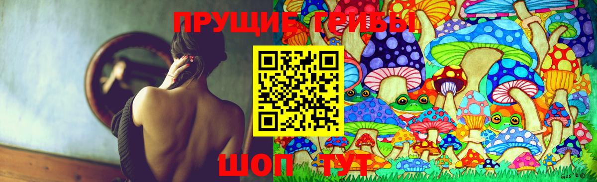Сергиев Посад  Галлюциногенные грибы ЛСД  Вход с VPN 